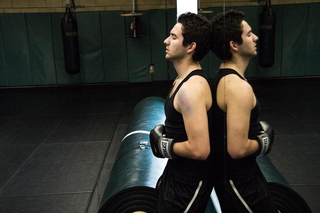 i-arnitiki-pleura-tou-box-4